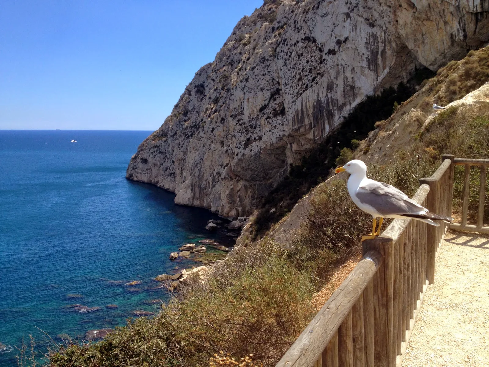 Скала Пеньон де Ифач (Parque Natural de Penyal D'Ifach), Кальпе, Испания