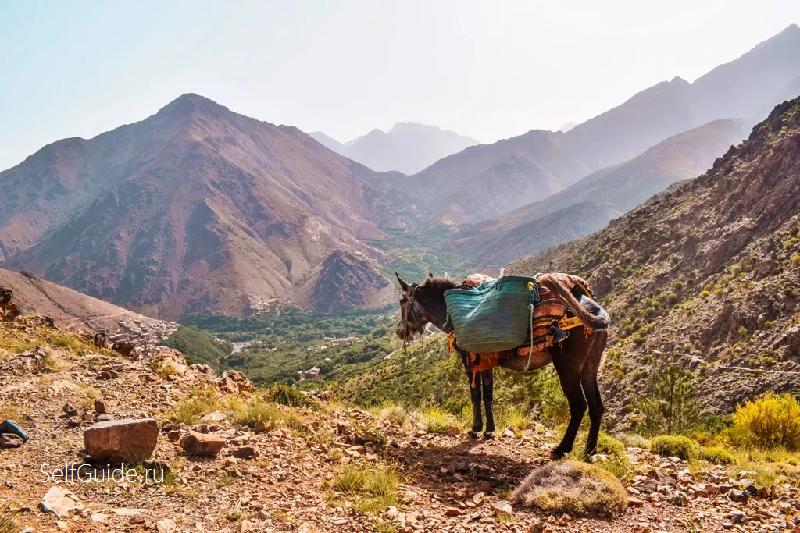 Marrakech Atlas mountains